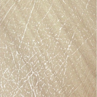 Ламинат "МАЙЯ" Верба белая  (С) 8,4 мм