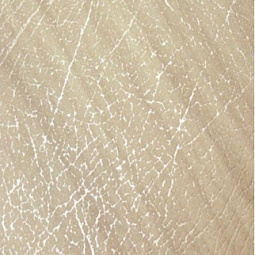 Ламинат "МАЙЯ" Верба белая  (С) 8,4 мм